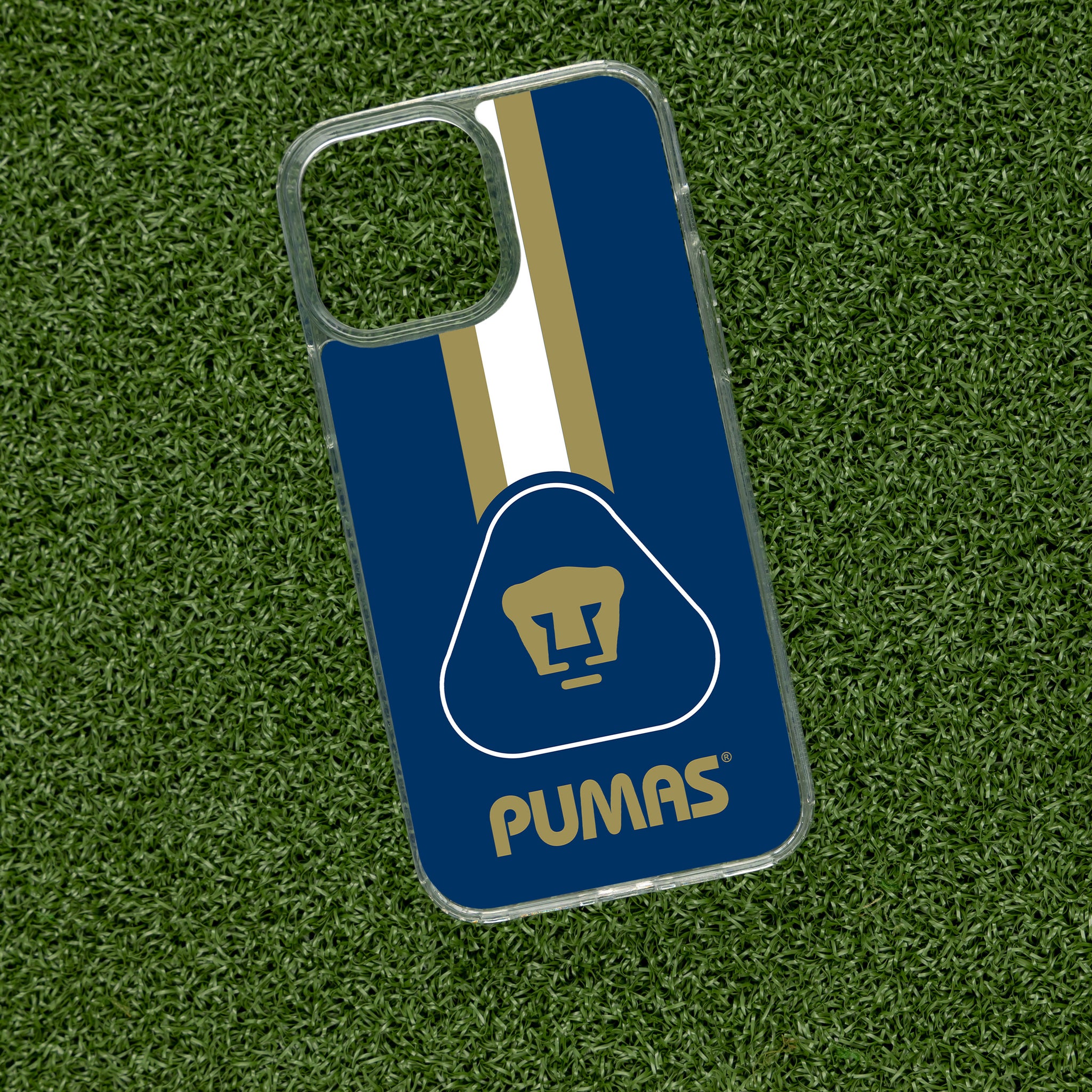 Pumas Unam Logo Drawing